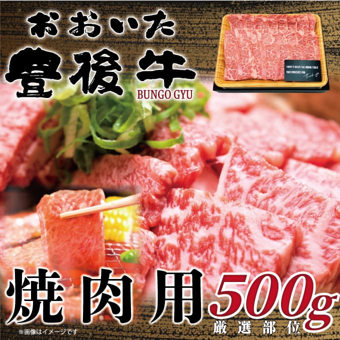 【ふるさと納税】おおいた豊後牛焼肉用 500g / 1kg | 和牛 豊後牛 国産牛 焼肉 大分県産 九州産 津久見市 国産