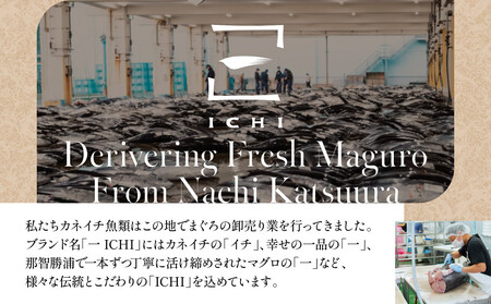 《先行予約》粗挽きまぐろのハンバーグ 100g×2個入り×6パック　ハンバーグ