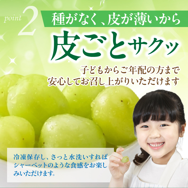 【先行予約】 農家直送！ 新鮮 採れたて シャインマスカット 約1.5kg 令和7年出荷分 フルーツ 果物 贈答 大分県産_2537R