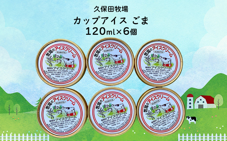 カップアイス　ゴマ 120ml×6個 NAP009