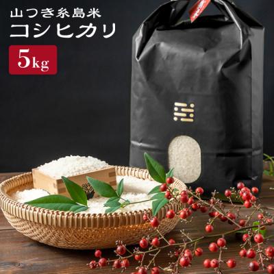 ふるさと納税 糸島市 糸島で育てた山つき糸島米5kg(コシヒカリ) 糸島市/itoshimacco[ARJ015]