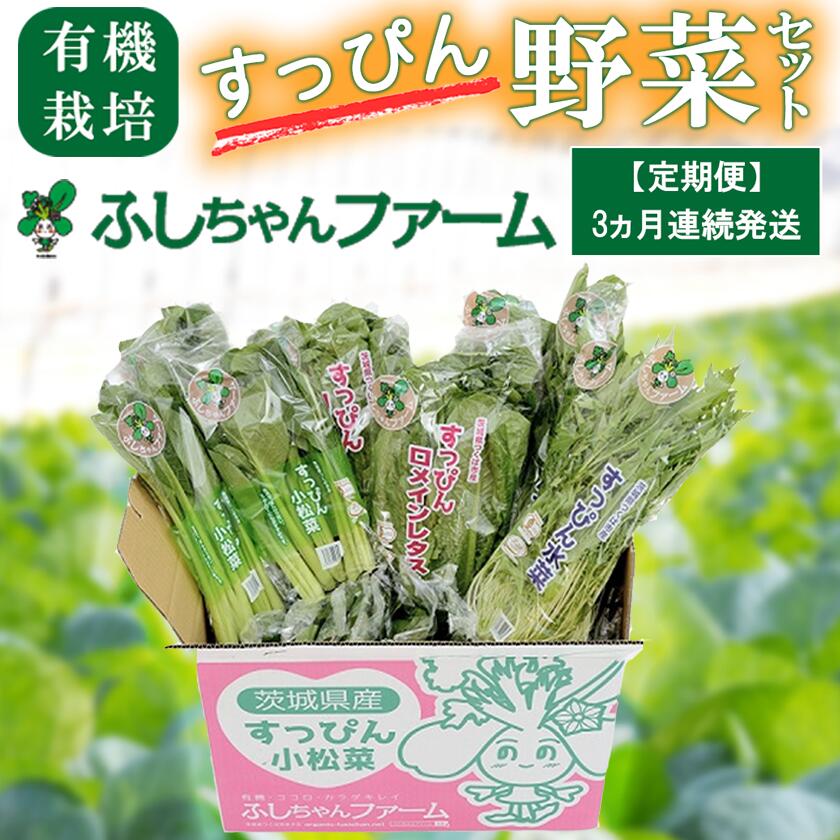 【ふるさと納税】【3ヵ月定期便】すっぴん有機やさいセット(小松菜・水菜・ロメインレタス)| 茨城県 つくば市 定期 定期便 小松菜 ロメインレタス 水菜 鍋 鍋もの 野菜 やさい ベジタブル 有機野菜 有機栽培 無農薬 有機農業 オーガニック 自然 希少 3回 詰め合わせ