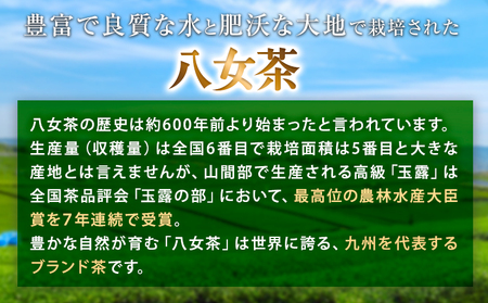 八女上級煎茶 1箱 約100g×3袋入り 福岡県 鞍手郡 小竹町《30日以内に出荷予定(土日祝除く)》 送料無料