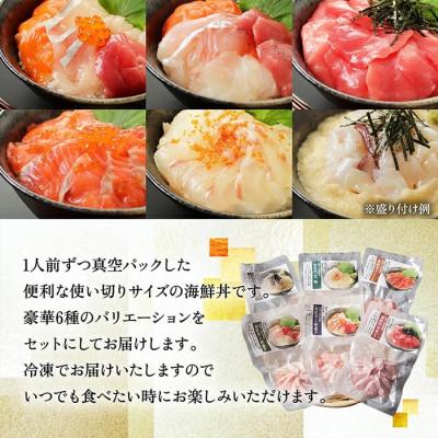 ふるさと納税 越前市 【純国産】海鮮丼の具の贅沢6種類セット(無添加仕様) |  | 01
