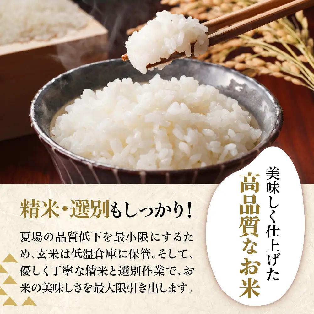 先行予約 令和8年産 はえぬき 20kg 精米 山形