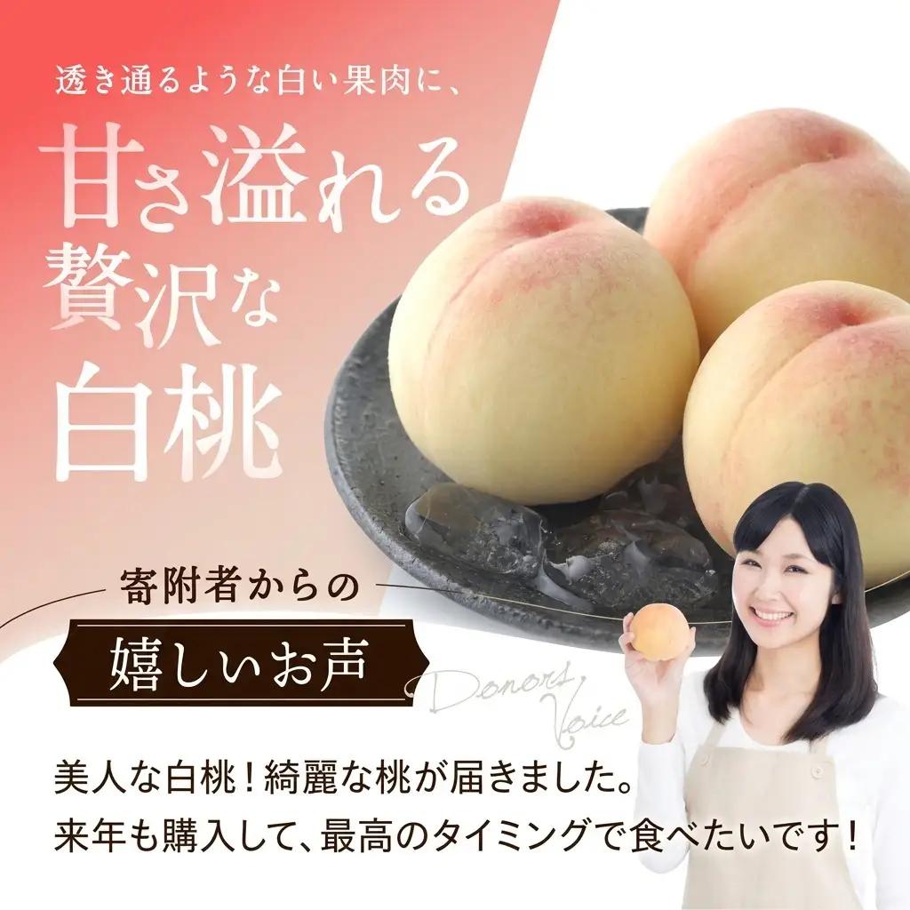 白桃 岡山県産 白桃【8玉 約2.0kg】【先行予約】