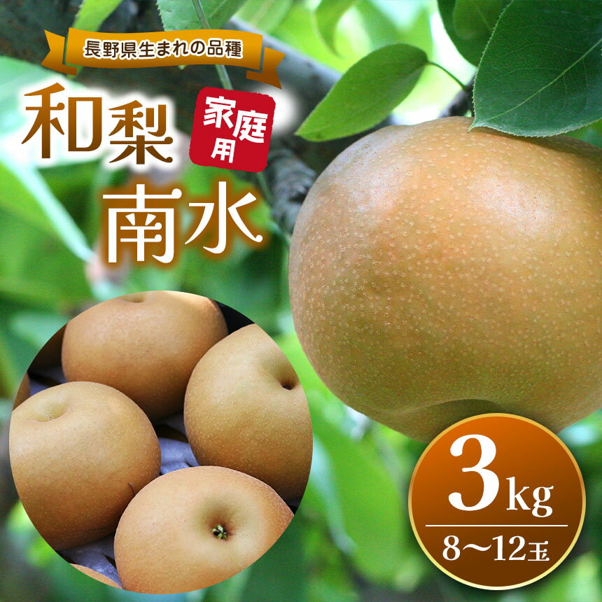 【ふるさと納税】【先行受付：2026年】長野県生まれの品種 和梨 南水 3kg(8玉～12玉)｜ふるさと納税 信州 松本 梨 なし 南水 甘い 果物 フルーツ 甘い おすすめ