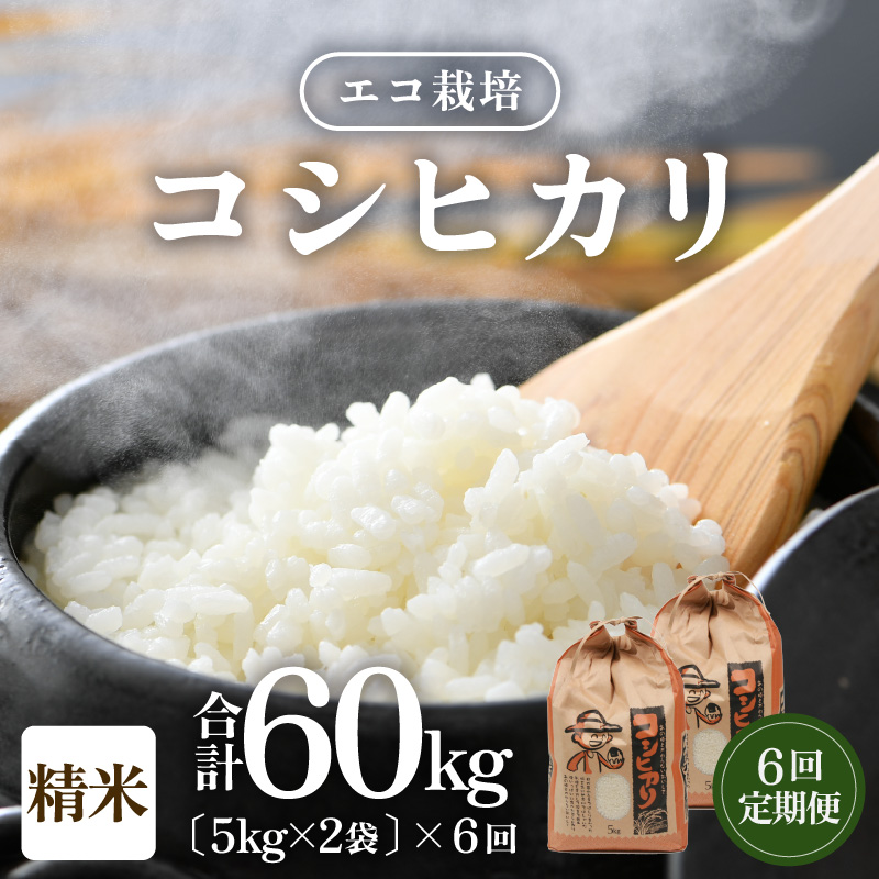 【先行予約】【令和8年産 新米】【一等米】《定期便6回》エコ栽培コシヒカリ 白米10kg（5kg×2袋）計60kg ／ 鮮度抜群 福井県産 こしひかり ご飯 新鮮 白米 ※2026年10月上旬以降順次発送 [aw063-j009]