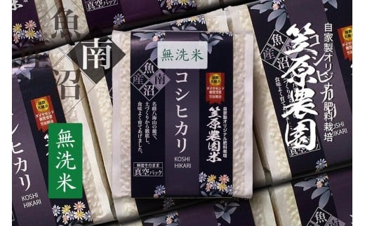
            【令和７年産】南魚沼産 笠原農園米 コシヒカリ 無洗米 ３合真空パック ２０個
          