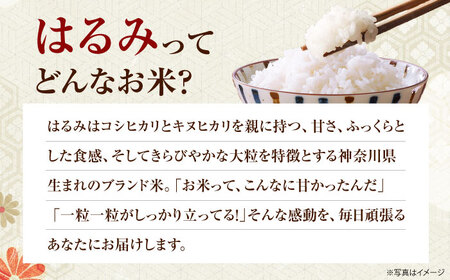 【先行予約】令和8年度 新米 はるみ 5kg【なんかいファーム】 新米 [BDBD002]