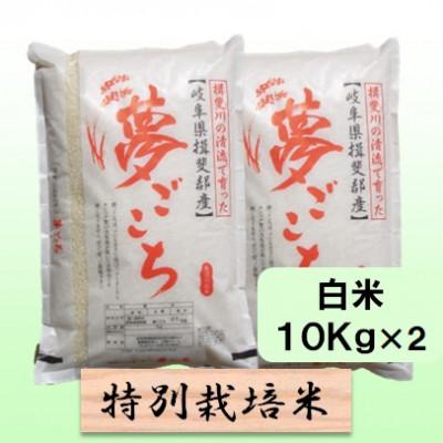 ふるさと納税 池田町 【令和7年産】特別栽培米 20kg【白米】(夢ごこち)