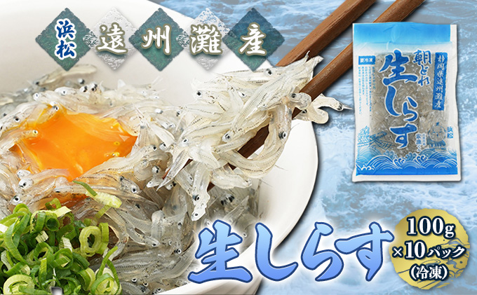 【数量限定】浜松生しらす（冷凍）100g×10パック