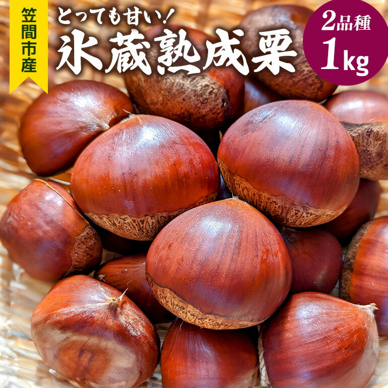 【ふるさと納税】氷蔵熟成栗 2品種 1kg とっても甘い！ ふかさわ農園 笠間の栗ブランド認証栗