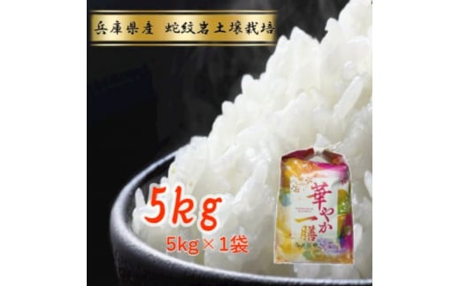 
＜蛇紋岩ブランド　華やか一膳5kg＞【1450983】
