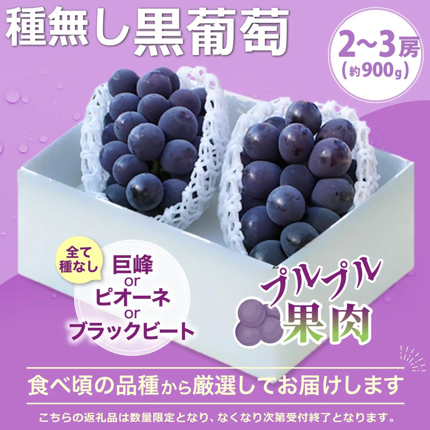 【2027年発送★先行予約】2回定期便 旬のフルーツ定期便（桃2㎏・種無し黒葡萄2～3房）180-009-27y