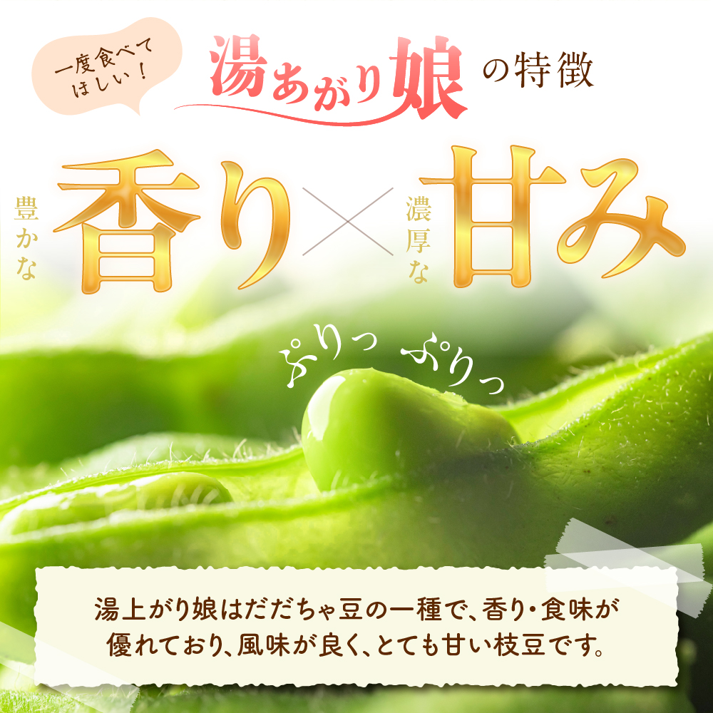 【2026年産】 枝豆「湯あがり娘」1.5kg よってけポポラ提供 hi003-162