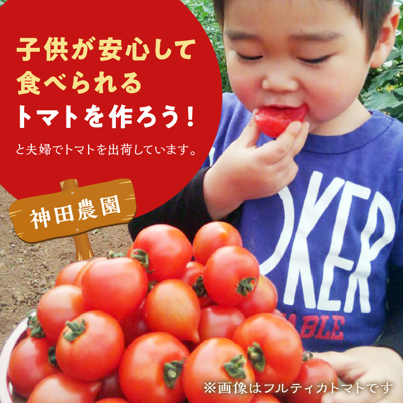 期間限定　真っ赤なトマトわけあり大容量6ｋｇ～7ｋｇ【A9-014】