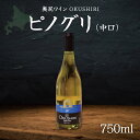 【ふるさと納税】「奥尻ワイン」ピノグリ（中口） ふるさと納税 人気 おすすめ ランキング ワイン 奥尻ワイン OKUSHIRI 白ワイン 白 ピノ・グリ 北海道 奥尻町 送料無料 OKUM014