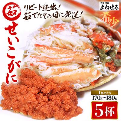 ふるさと納税 美浜町 【2026年11月より順次発送】《おまかせ》茹でセイコガ二　5杯　茹でたてをその日に発送致します