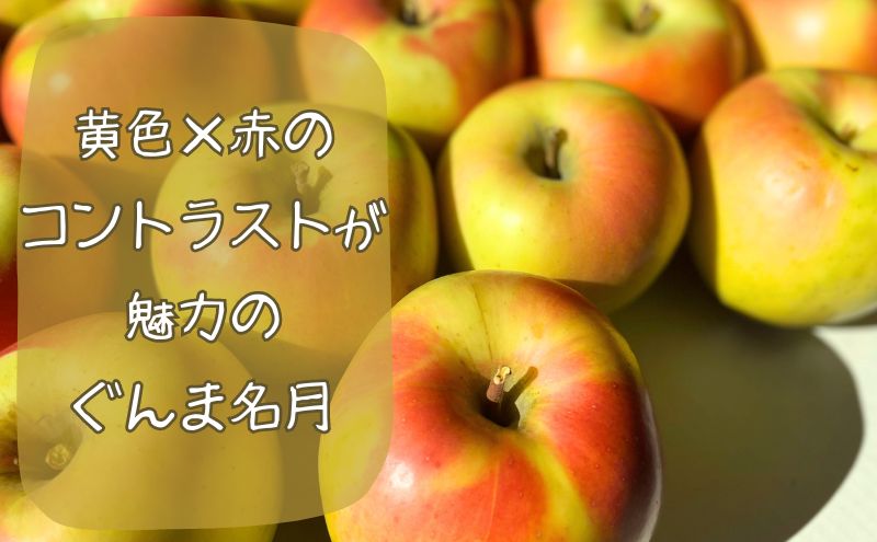 10～11月発送 家庭用ぐんま名月 約5kg【弘前市産・青森りんご】