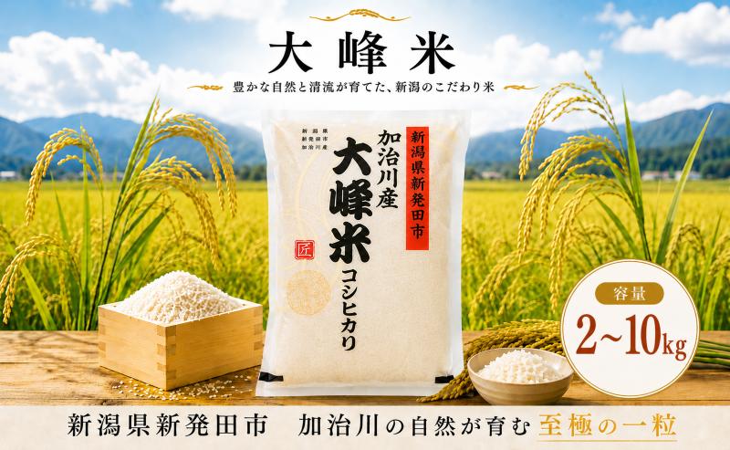 
                  【大峰米コシヒカリ】 令和7年産 新潟県産 コシヒカリ 2kg 5kg 10kg（5㎏×2袋） 新潟県 新発田市 加治川産 新発田産 新潟 ふるさと納税 精米 米 お米 大峰米 白米 米 お米 こめ コメ ライス ご飯 ごはん 美味しい 贈り物 国産 新潟県 新発田市 お取り寄せ 令和7年産米 産地直送 GAP認証 JGAP アグリ加治川 agk007P
                