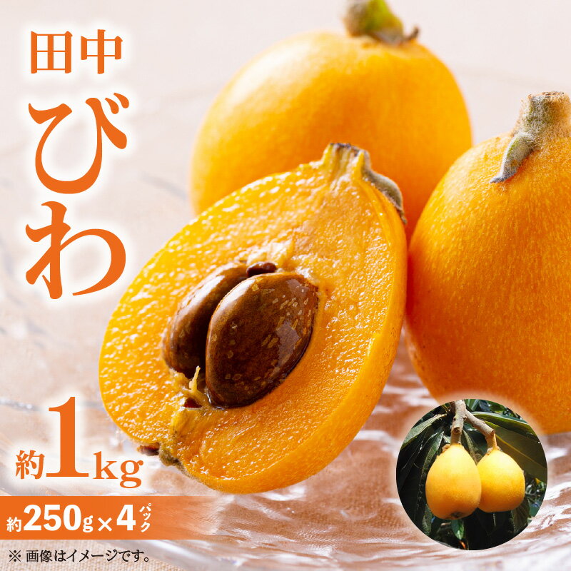 【ふるさと納税】田中びわ 約1kg (約250g×4パック)【2025-6月上旬～2025-7月中旬配送】 | 果物 フルーツ 大きめ 果実 果汁 青果物 青果 生鮮 生鮮食品 おすそ分け 自宅用 家庭用 贈答 贈り物 ギフト おやつ スイーツ デザート グルメ お取り寄せ お取り寄せグルメ 食品
