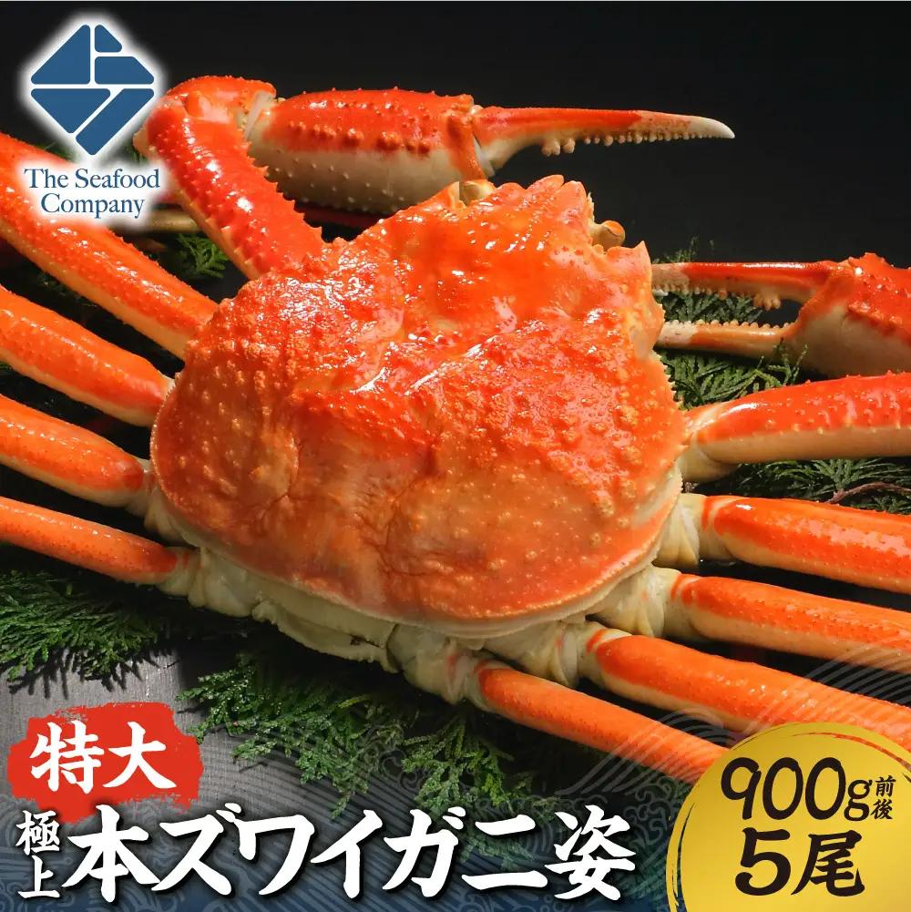 極上！特大本ズワイ蟹の姿　本ズワイ蟹　900g　5尾 | かに ズワイガニ 北海道 札幌市