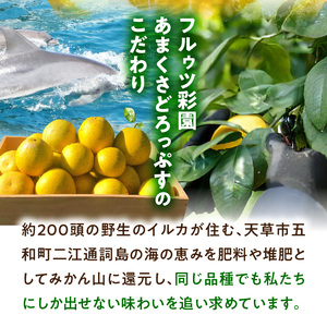 S097-006_【訳あり】あまくさ晩柑 9kg