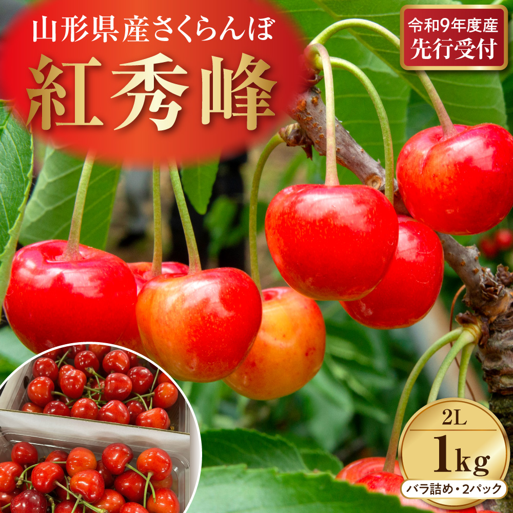 【令和9年産】さくらんぼ「紅秀峰」 秀2L 1kg (500gバラ詰め×2パック) 山形県河北町産 【晴天畑】 ka073-014 紅秀峰 秀2L 1kg