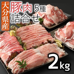 【寄附額見直し】小分けされてるから便利♪大分県産 豚詰め合わせ５種（約２ｋｇ）