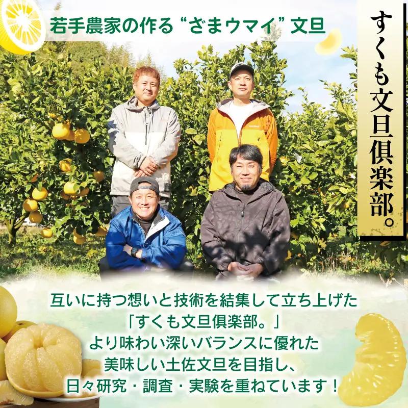 極み 土佐文旦 家庭用 5kg 文旦