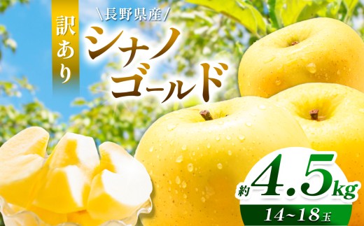 りんご 信州 上伊那産 訳あり シナノゴールド 約4.5kg （14～18玉） | 果物 フルーツ りんご 林檎 訳あり シナノゴールド 上伊那産 長野県 伊那市【011-b1】