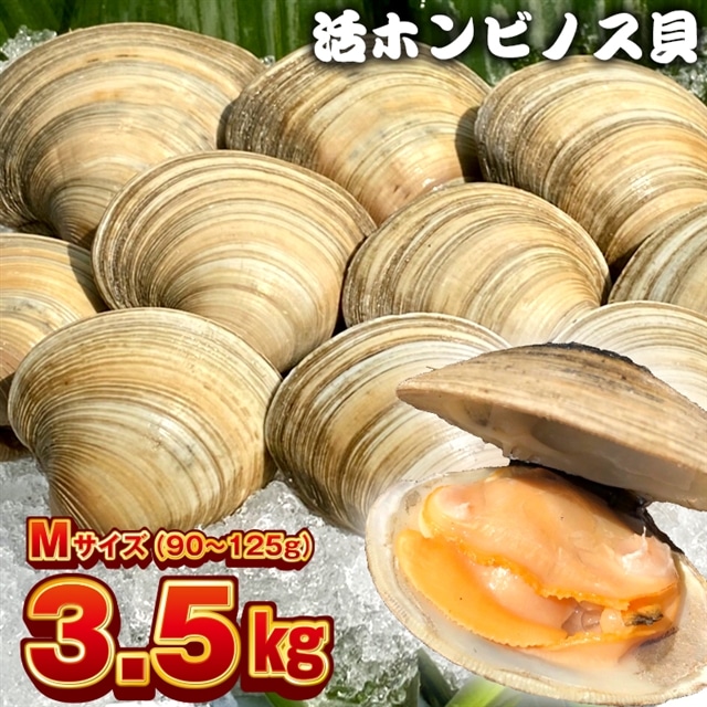 BK-8Mf 漁師直送！活ホンビノス貝3.5kg（Mサイズ）
