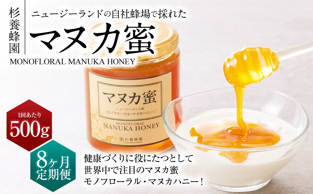
                  【8ヶ月定期便】ニュージーランド産 マヌカ蜜 約500g×8ヶ月 ／ 計約4.0kg マヌカハニー マヌカ モノフローラル・マヌカハニー 蜂蜜 はちみつ ハチミツ 健康食品 定期便 杉養蜂園
                
