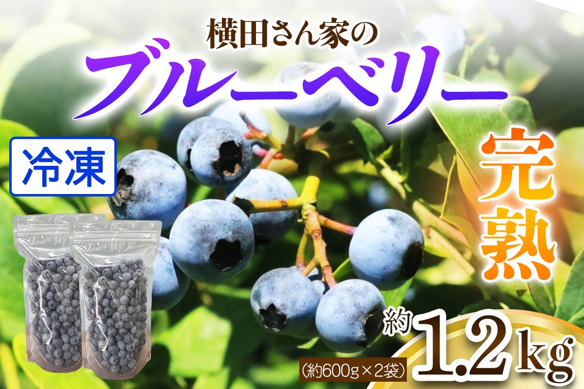 
                  横田さん家の冷凍ブルーベリー 1.2kg (約600g×2袋) [1639]
                