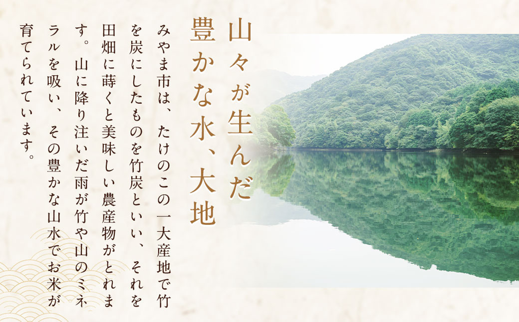 福岡県産 白米 10kg ×1袋 銀座の料亭ご愛用のお米 精米