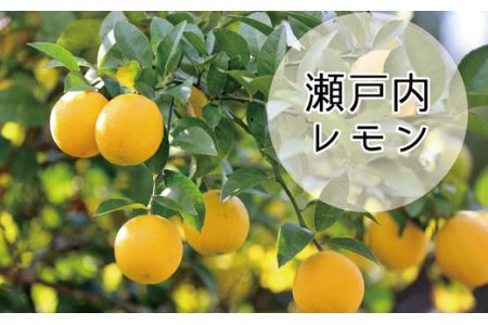 “果実感”と“サッパリした甘さ”を同時に味わえる逸品◎心華やぐ◎ドリズルレモンケーキ〈4号〉_0119-002-T03