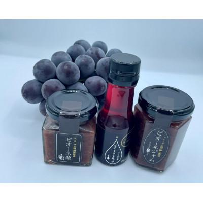 ふるさと納税 真庭市 【発送月固定定期便】9月〜12月 大粒ぶどうの詰め合わせ全4回 |  | 01