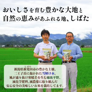 D31　【令和5年産】新潟県新発田市産特別栽培米コシヒカリ(2kg×2袋)