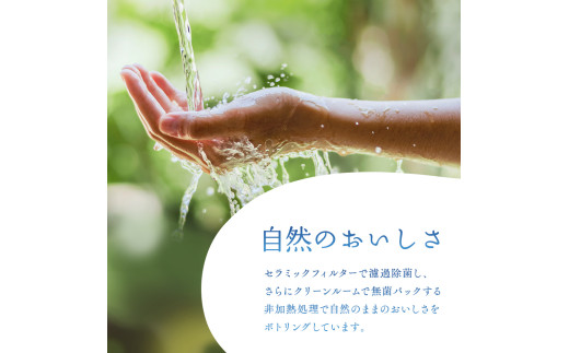 FYN9-015 月山自然水2L×6本×2箱 天然水 国産 備蓄 防災 保存 ペットボトル ナチュラル 山形県 西川町