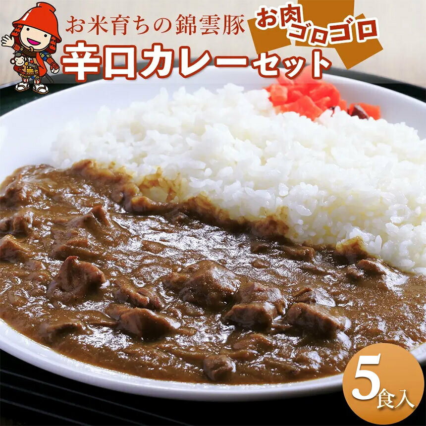 【ふるさと納税】錦雲豚カレー辛口 たっぷり 5食 セット | レトルトカレー レトルト 惣菜 おかず 国産 九州産 大分県産 中津市 ブランド豚 豚肉 送料無料