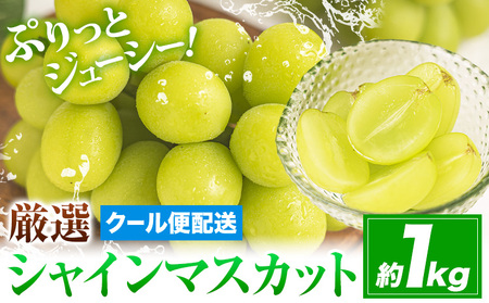 【ふるなび限定】シャインマスカット 約1kg 《2026年9月上旬-11月上旬頃発送》 岡山県 笠岡市　FN-Limited-OR