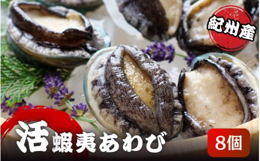 やわコリ食感紀州の蝦夷アワビ 【8個入】※北海道・沖縄・離島への配送不可 / 鮑 アワビ あわび 人気 活アワビ 冷蔵【yas003】