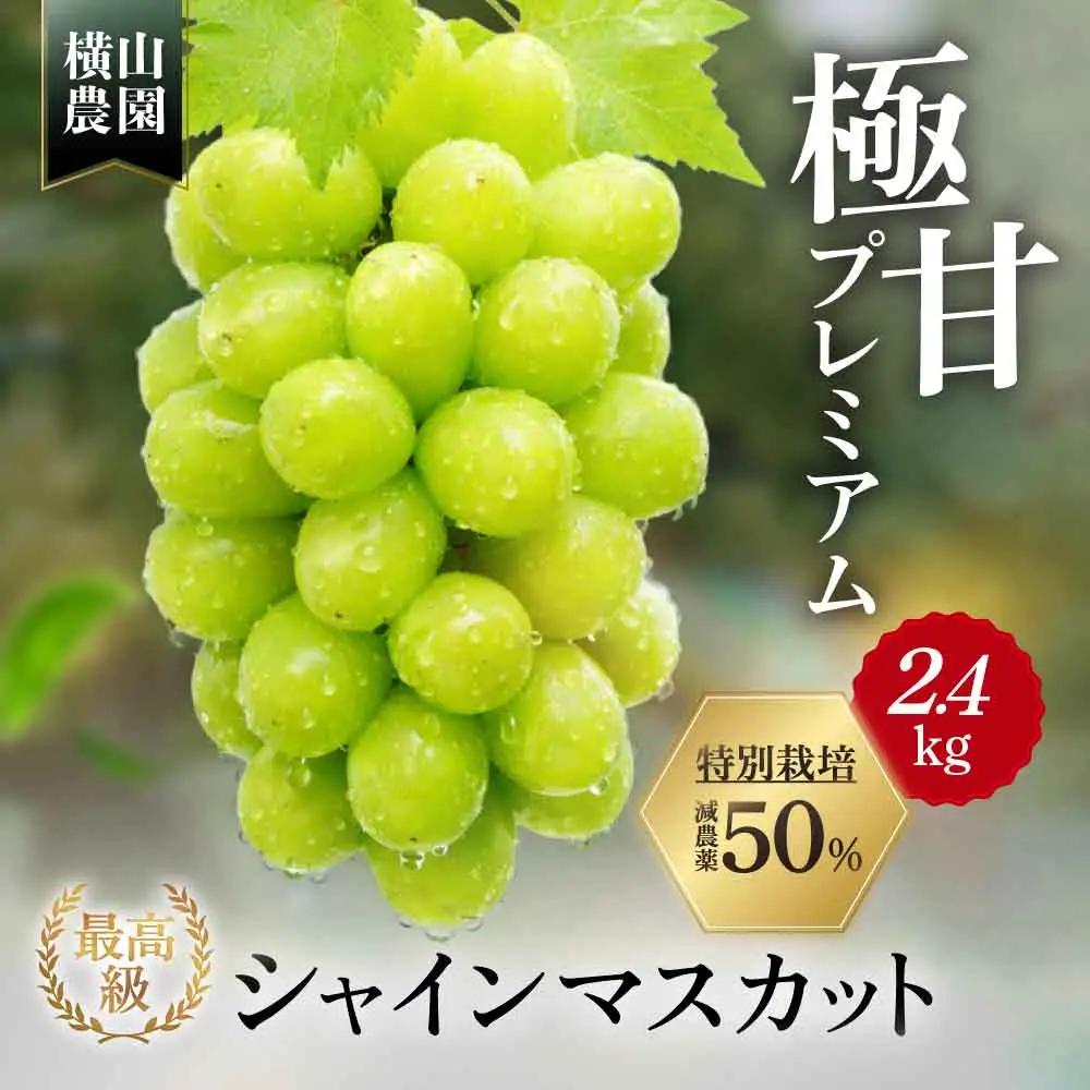特別栽培 減農薬 シャインマスカット 約2.4㎏ 山梨シャインマスカット