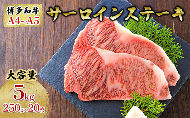 牛肉 サーロインステーキ 合計5kg 博多和牛 A4～A5 セット 250g×20枚 配送不可：離島 