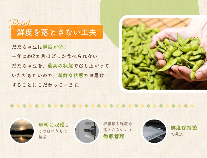 【令和8年産先行予約】だだちゃ豆 (早生甘露) 　1.5kg (500g×3袋) 　だだちゃ喜左衛門株式会社