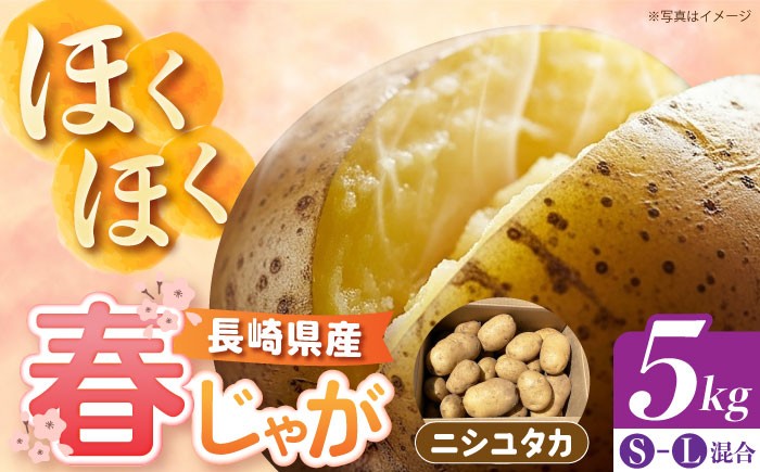 
                  長崎県雲仙産 春作じゃがいも ニシユタカ 5kg 【先行予約/2026年5月〜発送】長崎県/オースタイルファーム株式会社 [42ALAD001] じゃがいも ポテト 長崎 雲仙 ジャガイモ 馬鈴薯 じゃが芋 春じゃが 野菜 産地直送 旬 いも 芋 にしゆたか  サイズ混合
                