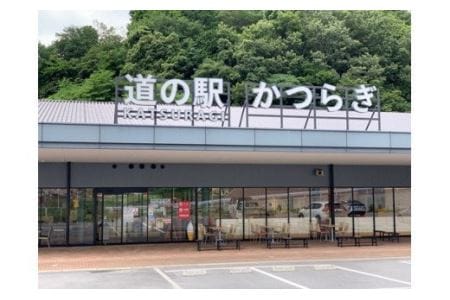 手作り　ジャム１０種セット／お取り寄せ　いちじく　梅　柿　トマト　りんご　ミックス　など