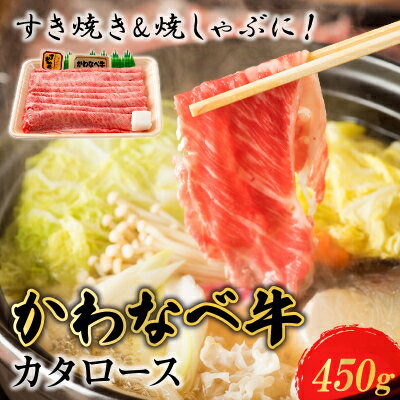 【ふるさと納税】かわなべ牛カタロース450g