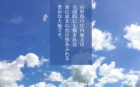 【令和7年産先行予約】山形県庄内産　特別栽培米つや姫 精米 10kg （10㎏×1袋）　野々ファーム